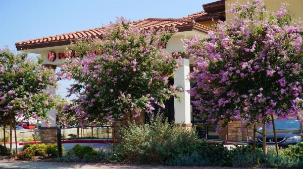 Hartford Hotel, BW Signature Collection image 22